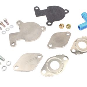 BEW EGR DELETE KIT